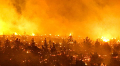 چلی کے جنگلات میں خوفناک آتشزدگی میں 23 افراد ہلاک؛ 979 زخمی