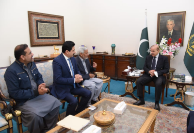 وزیرِ اعظم محمد شہباز شریف سے سیاسی رہنماؤں کی علیحدہ علحدہ ملاقاتیں