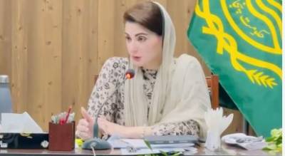 چینی تعاون سے پاکستانی معیشت میں استحکام آرہا ہے: مریم نواز