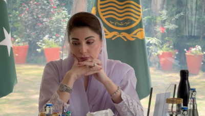 وزیر اعلیٰ مریم نواز شریف کا انسدادِ ملیریا کے عالمی دن پر پیغام