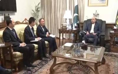 صدر پاکستان آصف علی زرداری کی چینی سفیر چیانگ زئے ڈونگ سے ملاقات،پاک بھارت موجودہ کشیدہ صورتحال پر تبادلہ خیال