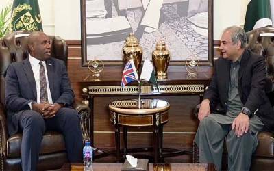 وزیر داخلہ محسن نقوی سے برطانیہ کے وزیر خارجہ کی ملاقات, پاک برطانیہ تعلقات اور ترقیاتی شراکت داری پر تبادلہ خیال