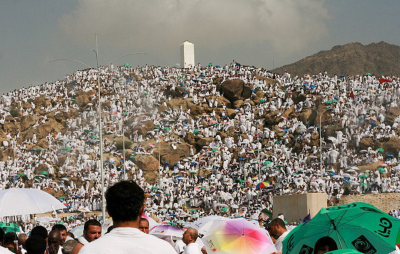  اس سال مجموعی طور16 لاكھ 73 ہزار 239 فرزندان اسلام نے فریضہ حج کی سعادت حاصل کی 