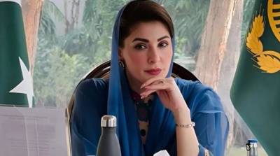 وزیر اعلیٰ پنجاب مریم نواز شریف کا ورلڈ برین ڈے پر پیغام