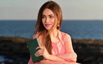 اداکارہ حمیرا اصغر کیس میں ایک اور اہم پیش رفت، فلیٹ سے سمندری نمک برآمد