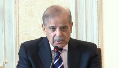 آئی پی پیز کے ساتھ مذاکرات سے اربوں کا فائدہ ہوا: وزیر اعظم 