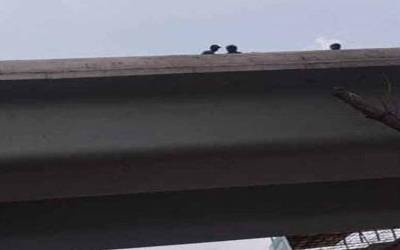 اکبر چوک فلائی اوور سے میاں بیوی گر کر ہلاک